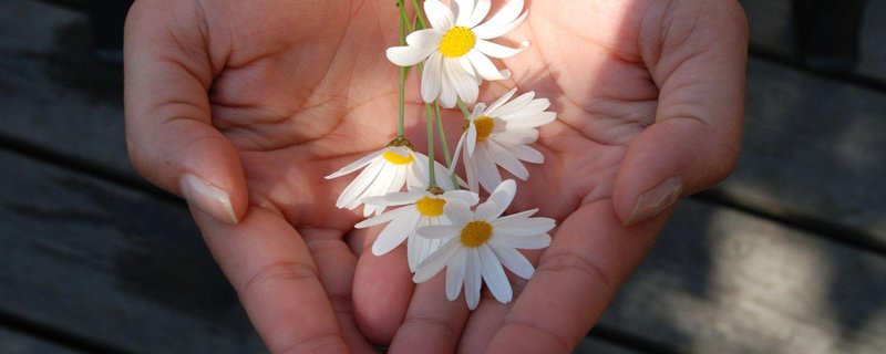 Vertiefungstag im Handauflegen