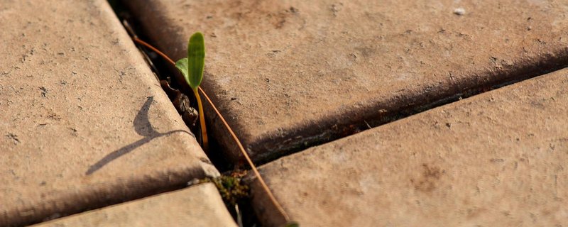 Die Lücke, die bleibt - Karfreitagsgottesdienst mit Bremer Schülern