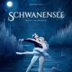 Der Schwanensee – Ballett mit Orchester