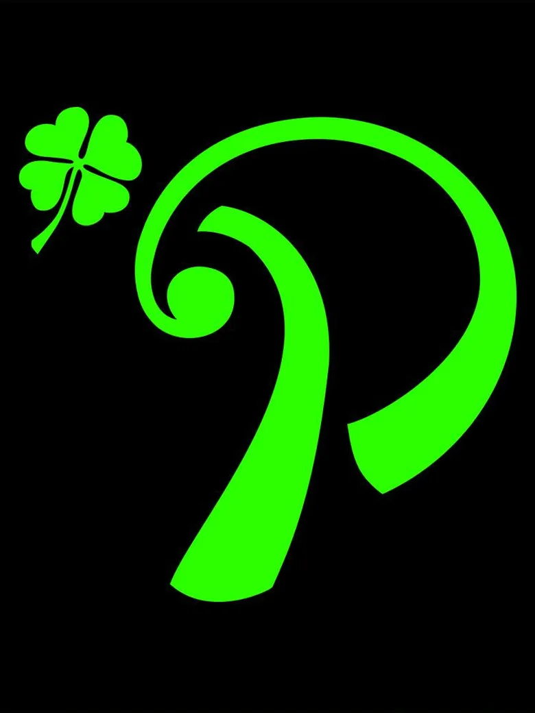 IRISH PARTY 2027
