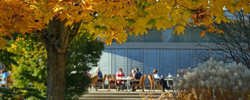 Sonderöffnung: Herbstimpressionen im Park 2026