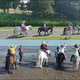 Ponycamp für Kinder