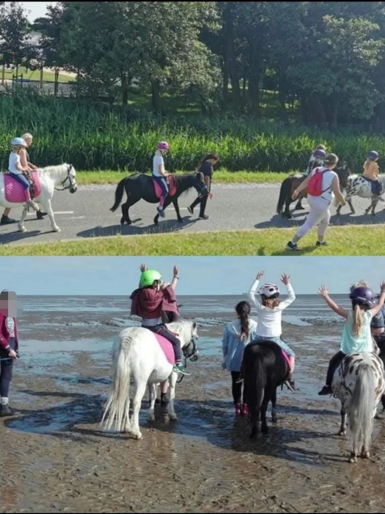 Ponyreiten für Kinder (ab 3 J.)