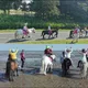 Ponyreiten für Kinder (ab 3 J.)