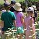 „Kleine Insektenrunde“ durch den Insektenschutz-Schaugarten