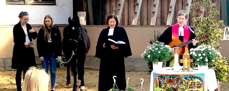 Ostermontag Gottesdienst mit Alpakas in der Reit-und Fahrgemeinschaft Beckedorf