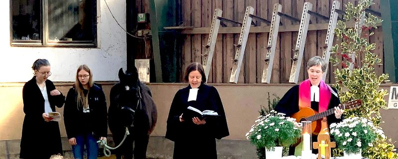Ostermontag Gottesdienst mit Alpakas in der Reit-und Fahrgemeinschaft Beckedorf