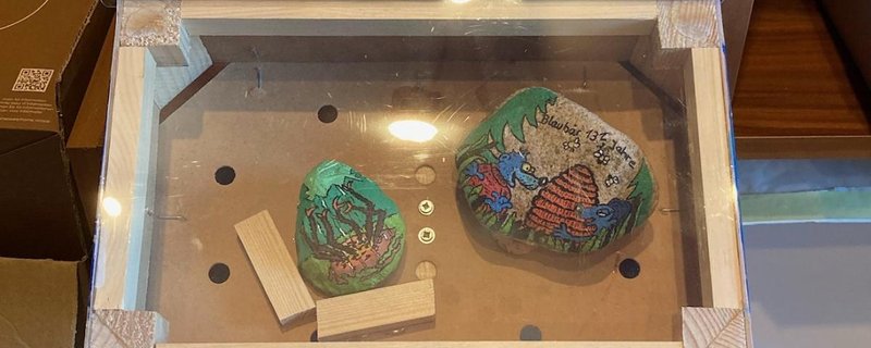 Ausstellung: Die 13 1/2 Leben des Käpt'n Blaubär