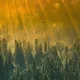 Gemeinsam unterwegs im Teutoburger Wald