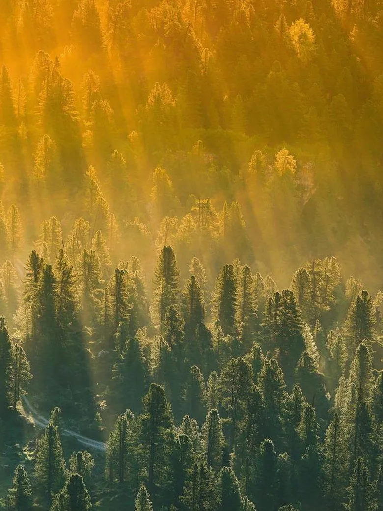 Gemeinsam unterwegs im Teutoburger Wald