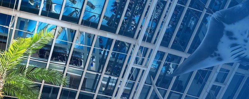 Quiznight im Übersee-Museum: Tausend tolle Sachen – wieso, weshalb, warum?