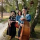 The Joni Project