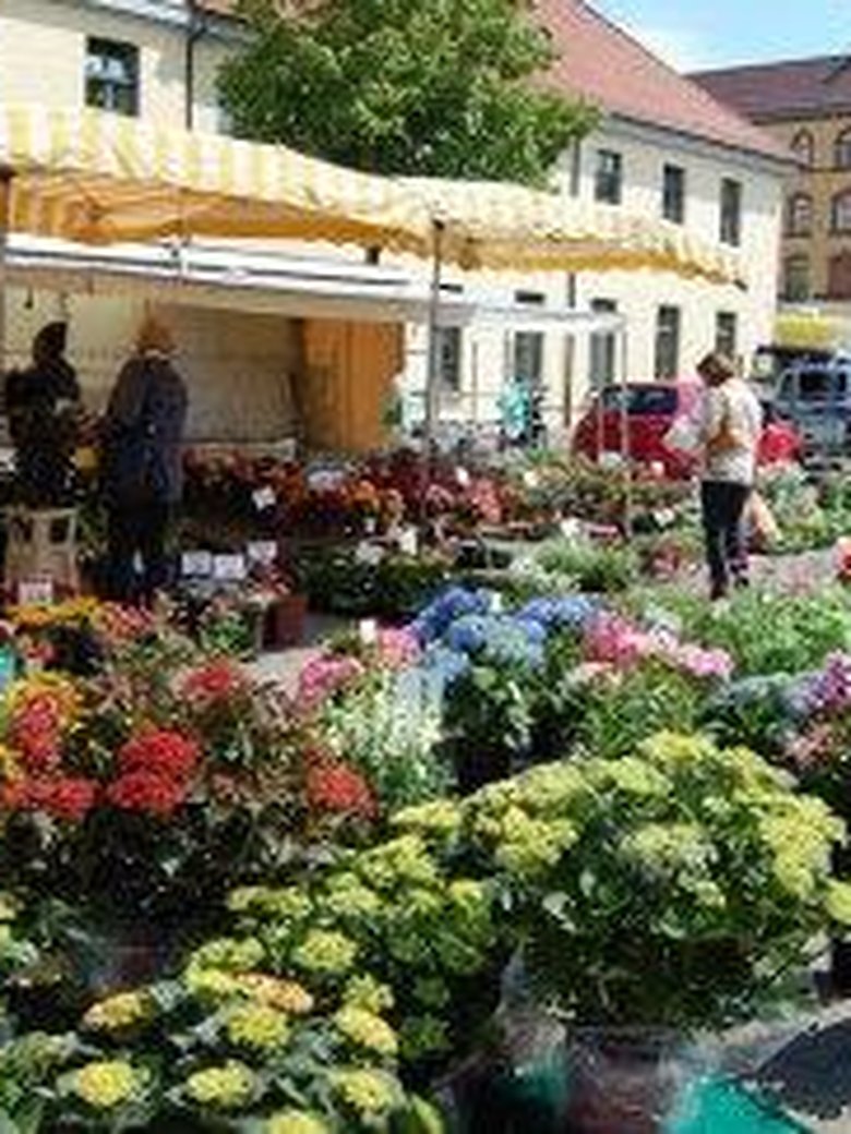 Wochenmarkt Pferdemarkt
