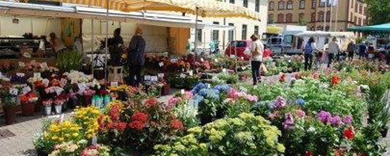Wochenmarkt Pferdemarkt