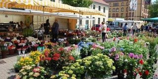 Wochenmarkt Pferdemarkt