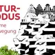 Kinofilm: Das Geheime Leben der Bäume