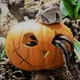Halloween im Zoo am Meer: Auf der Suche nach den verschwundenen Tieren!