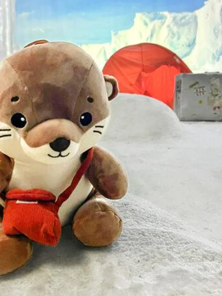 Kuscheltiere auf Weltreise