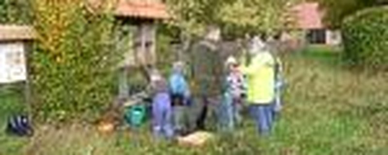 Wildbienen entdecken und ein Zuhause geben (Woche der Natur der Bingo Umweltstiftung)