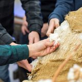 Hands on Hafenmuseum - Führung für blinde und sehbehinderte Menschen