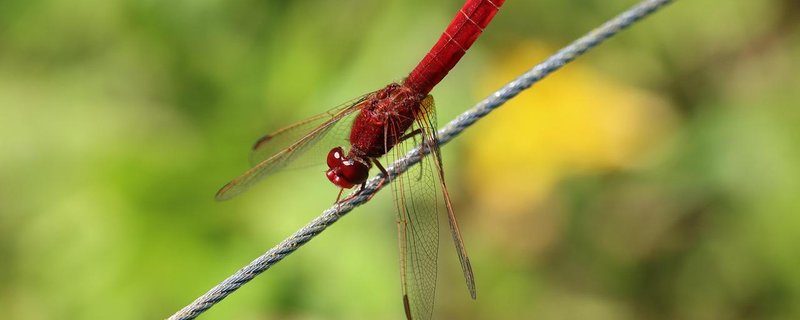 Zirkus zum Anfassen (Teil 1)