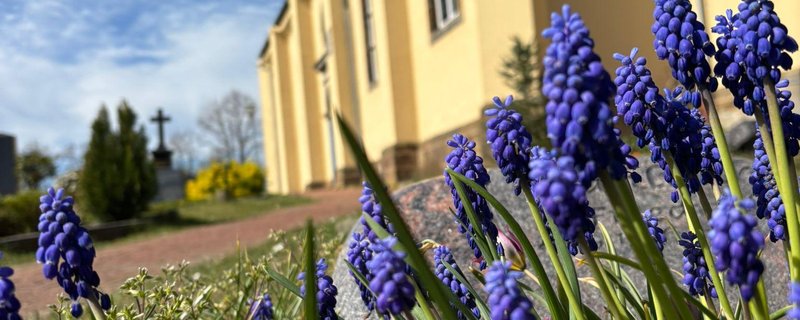 Geh aus, mein Herz... - Orgelkonzert in St. Johannis Arbergen