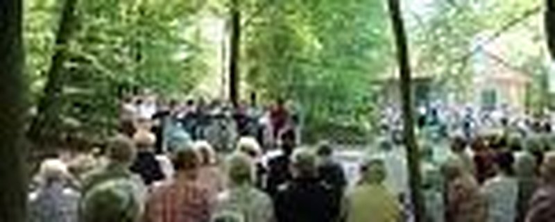 42. Hasbruchsingen