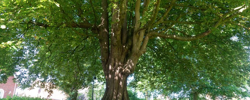 cuxhaven NATURESPONSE®