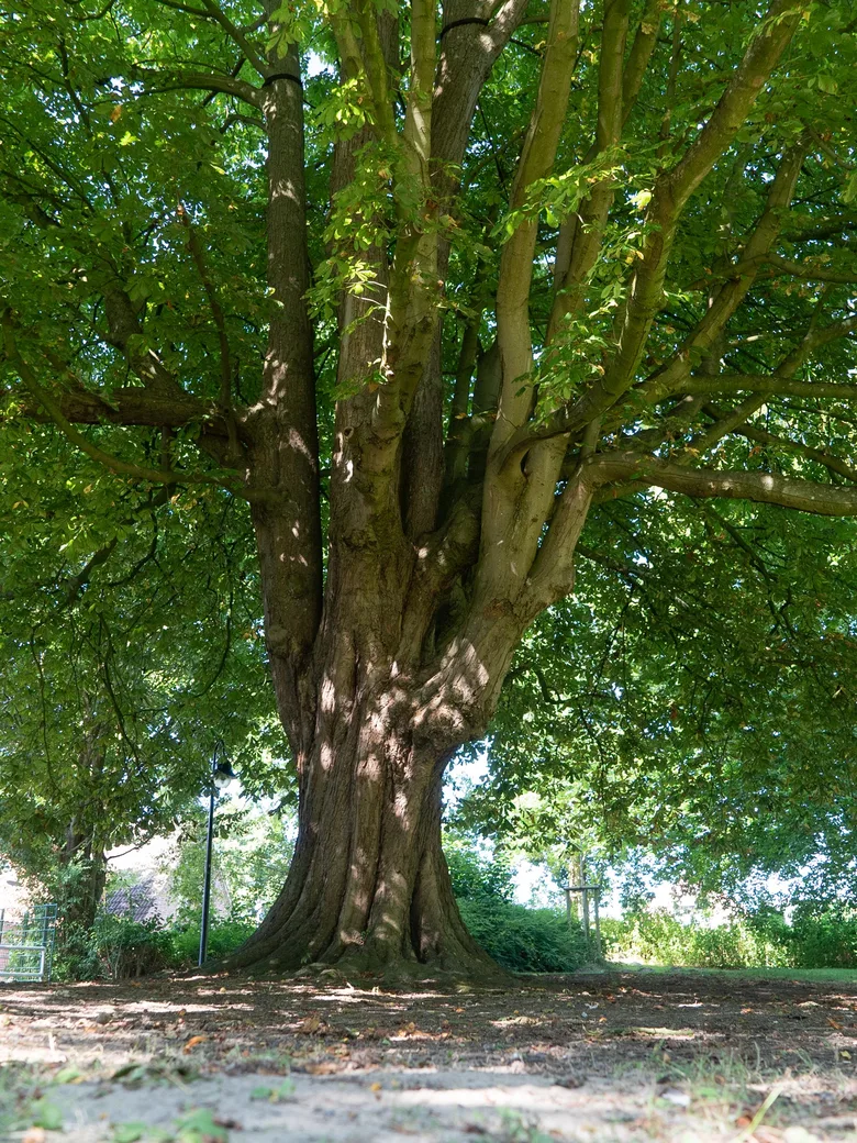 cuxhaven NATURESPONSE®