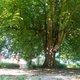 cuxhaven NATURESPONSE®