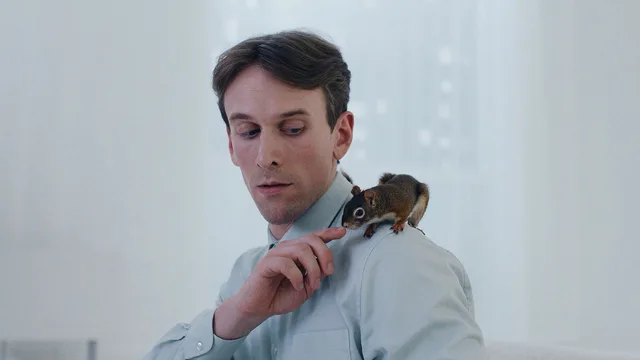 Das Eichhörnchen