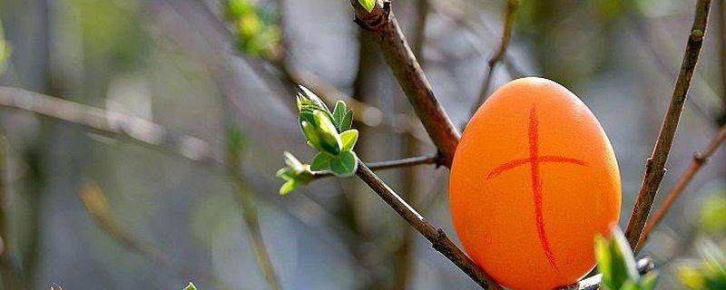 Ostersonntag - Familiengottesdienst