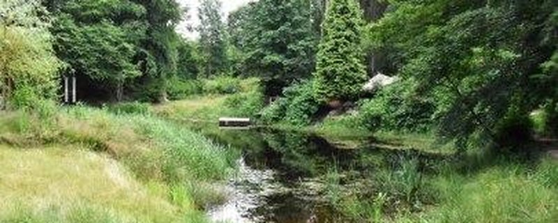 Naturerkundungen im Ammerland