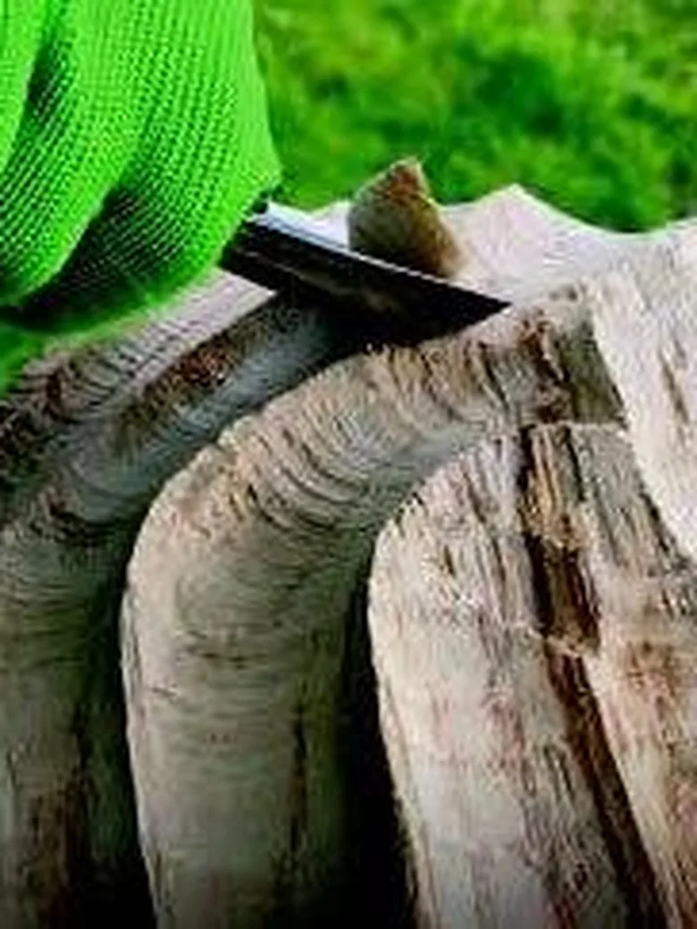 Holzskulptur intensiv