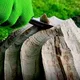 Holzskulptur intensiv