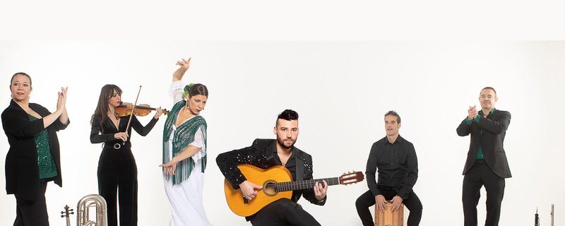 Daniel Martinez Flamenco Company "Andalucia - Flamenco"