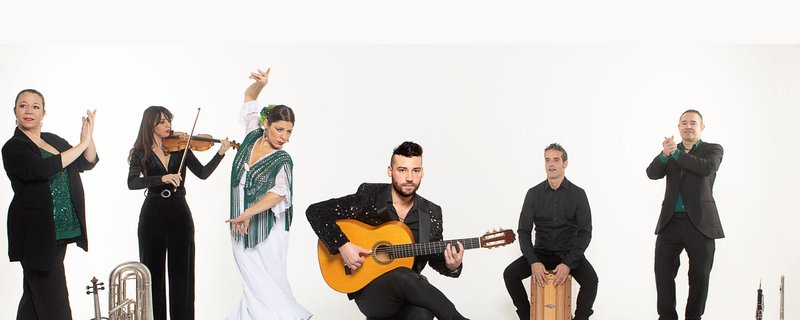 Daniel Martinez Flamenco Company "Andalucia - Flamenco"