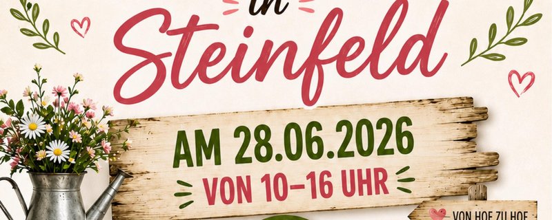 Flohmarkt in Steinfeld