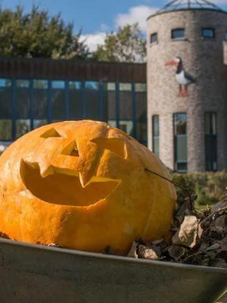 Halloween im Natureum