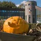 Halloween im Natureum