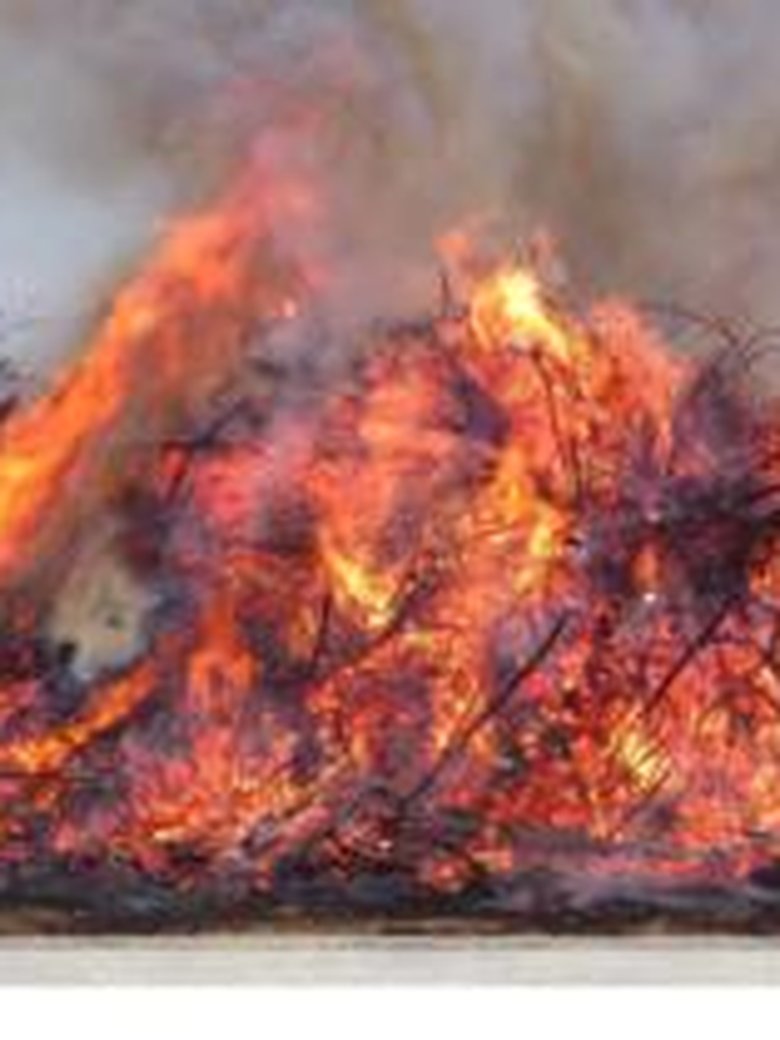 Osterfeuer in Weserdeich/Ranzenbüttel
