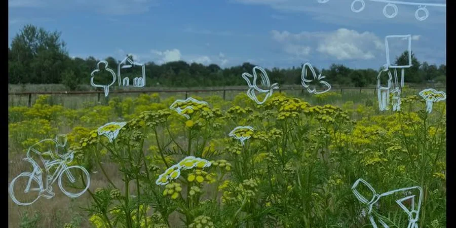 Digitalkunst auf der Galopprennbahn