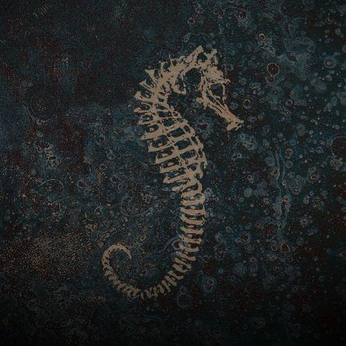 Hellseatic Festival 2026